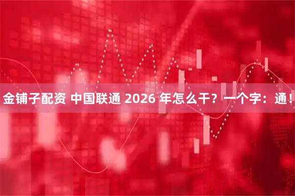 金铺子配资 中国联通 2026 年怎么干？一个字：通！